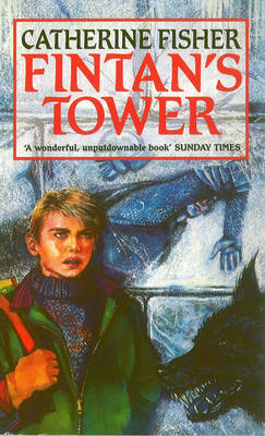 Fintan's Tower book