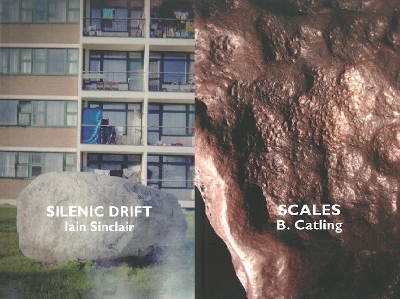 Silenic Drift / Scales book