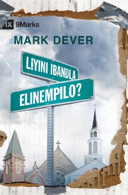 What is a Healthy Church? / Liyini iBandla Elinempilo? book