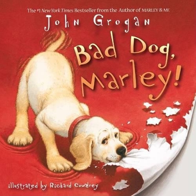 Bad Dog, Marley! book