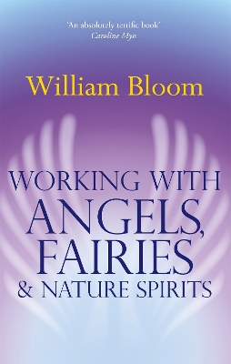 Working With Angels, Fairies And Nature Spirits book