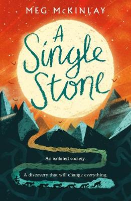 Single Stone book