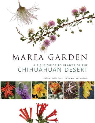 Marfa Garden: A Field Guide to Plants of the Chihuahuan Desert book