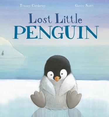 Lost Little Penguin book