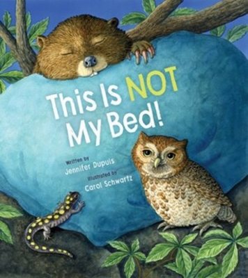 This Is Not My Bed! book