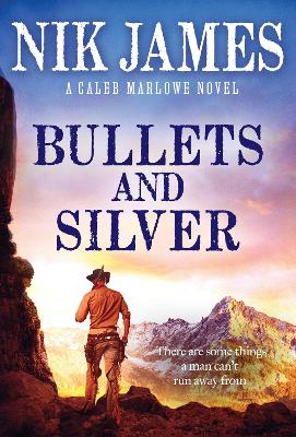 Bullets and Silver book