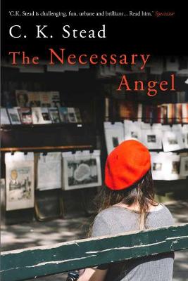 Necessary Angel book