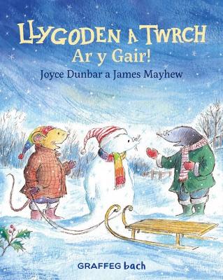 Llygoden a Twrch: Ar y Gair! by Joyce Dunbar