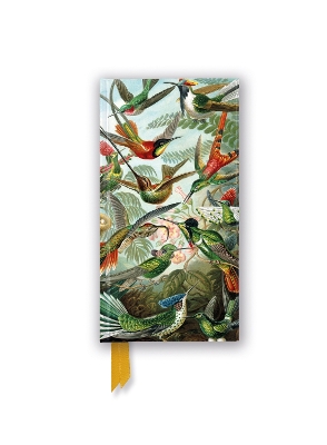 Ernst Haeckel: Hummingbirds (Foiled Slimline Journal) book