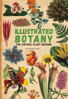 Illustrated Botany: The Virtual Plant Museum book