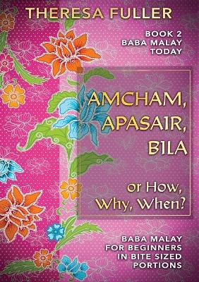 Amcham, Apasair, Bila or How, Why, When: Baba Malay for Beginners in Bite Sized Portions book