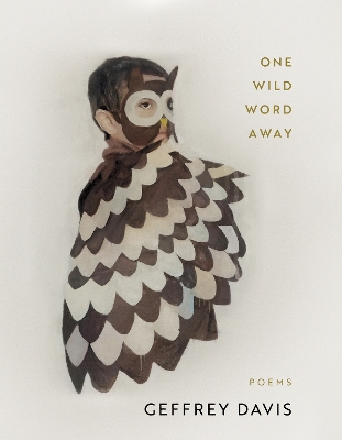One Wild Word Away book