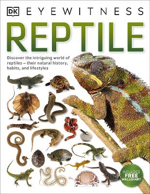 Reptile by Colin McCarthy