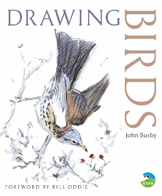 Drawing Birds book