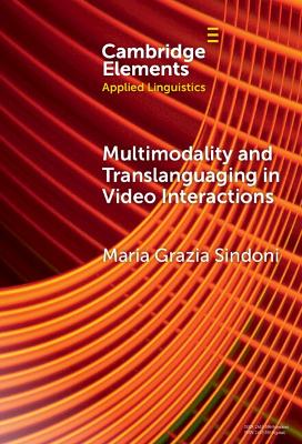 Multimodality and Translanguaging in Video Interactions book