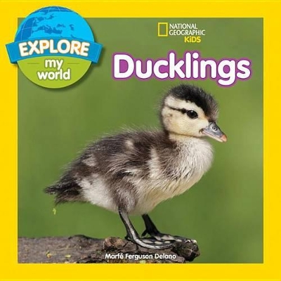 Explore My World Ducklings book
