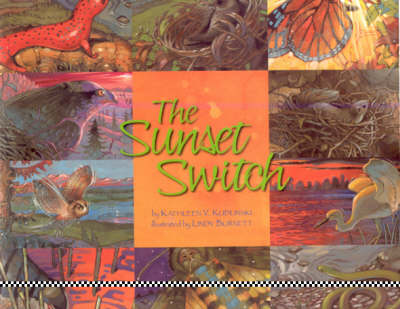 The Sunset Switch book