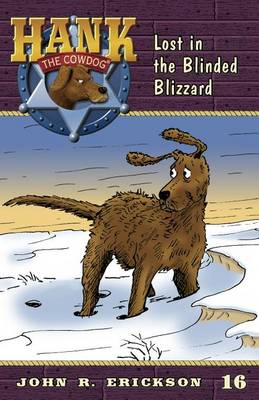 Lost in the Blinded Blizzard book