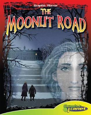 Moonlit Road book