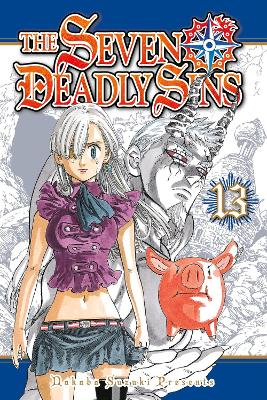Seven Deadly Sins 13 book