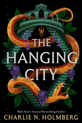 The Hanging City book