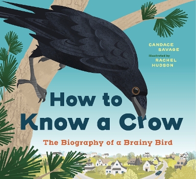 How to Know a Crow: The Biography of a Brainy Bird book