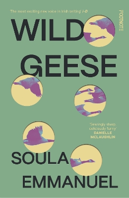 Wild Geese: the LAMBDA and GORDON BOWKER VOLCANO PRIZE winner book