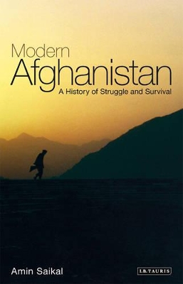 Modern Afghanistan book