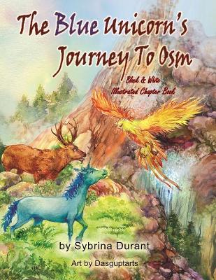 Blue Unicorn's Journey to Osm Black and White book