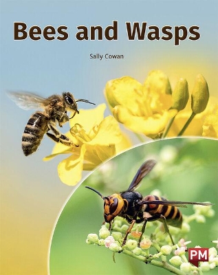 Bees and Wasps book