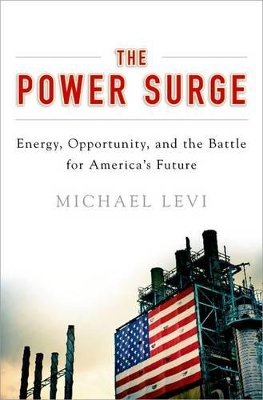 The Power Surge by Michael Levi