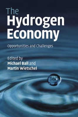 Hydrogen Economy book
