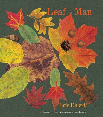 Leaf Man (Big Book) book