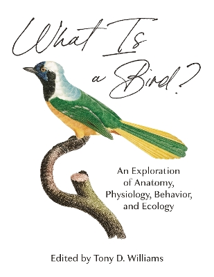 What Is a Bird?: An Exploration of Anatomy, Physiology, Behavior, and Ecology book