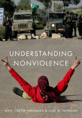 Understanding Nonviolence book