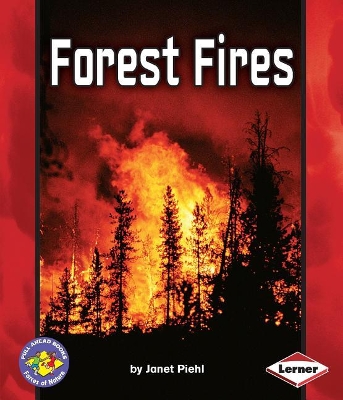 Forest Fires book