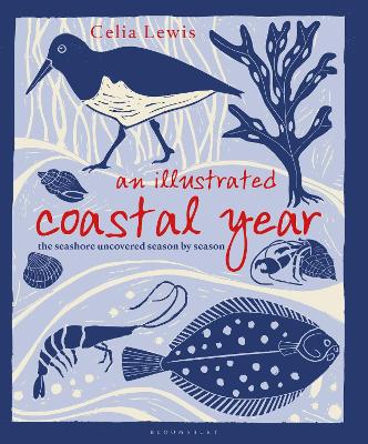 An An Illustrated Coastal Year: The seashore uncovered season by season by Celia Lewis