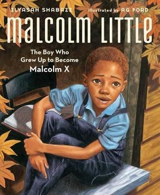 Malcolm Little: The Boy Who Grew Up to Become Malcolm X book