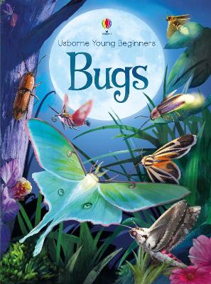 Young Beginners Bugs by Emily Bone