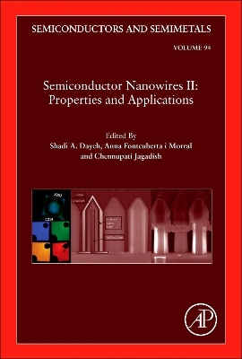 Semiconductor Nanowires II: Properties and Applications book