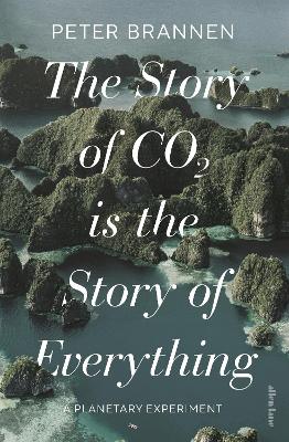 The Story of CO2 is the Story of Everything: A Planetary Experiment book