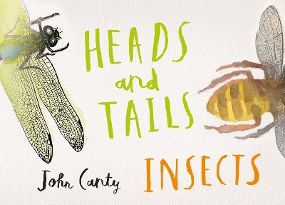 Heads and Tails: Insects book