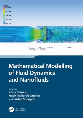 Mathematical Modelling of Fluid Dynamics and Nanofluids by Katta Ramesh