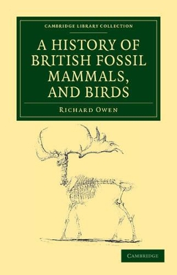 History of British Fossil Mammals, and Birds book