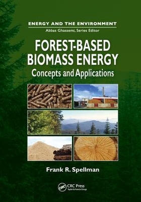 Forest-Based Biomass Energy book