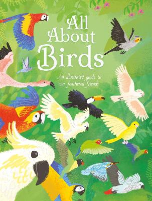 All About Birds: An Illustrated Guide to Our Feathered Friends book