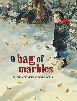 Bag Of Marbles book