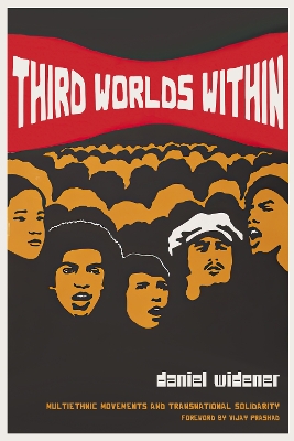 Third Worlds Within: Multiethnic Movements and Transnational Solidarity book