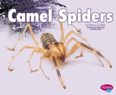 Camel Spiders book