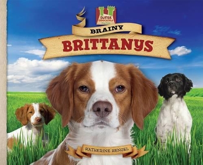 Brainy Brittanys: Gentle! Obedient! Keen! Strong! Alert! Untiring! book